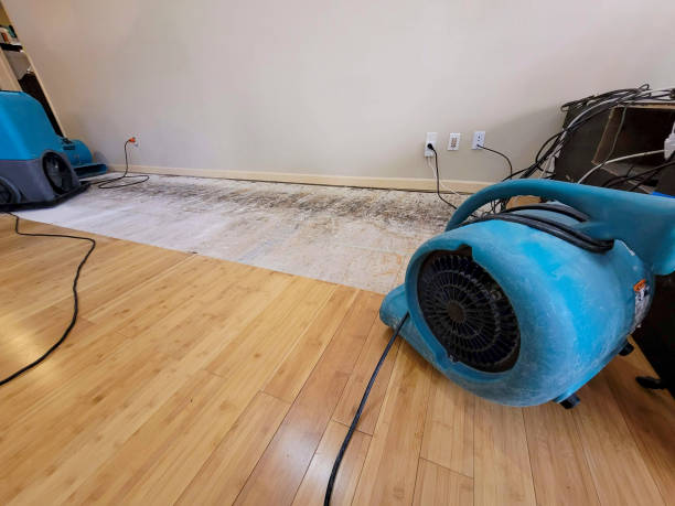 Professional Structural Drying technician working in Lakeview, OH